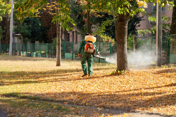Best Exterminator Services  in Roodhouse, IL