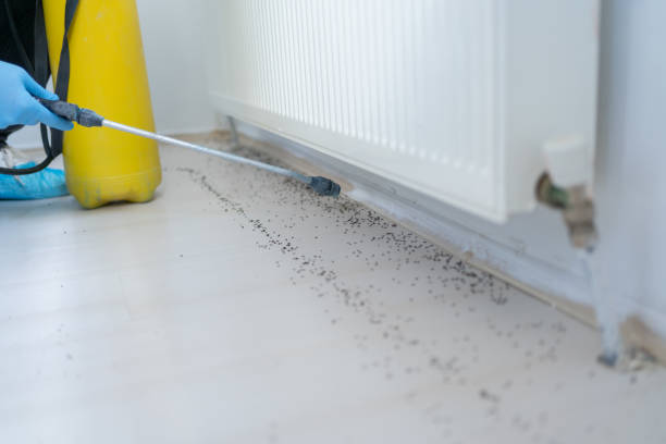 Best Emergency Pest Control  in Roodhouse, IL