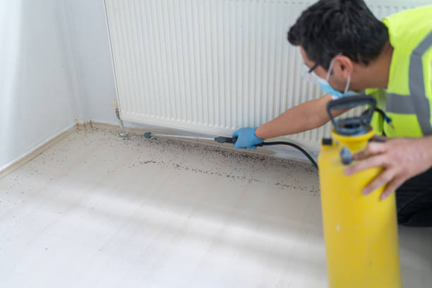 Best Local Pest Control Services  in Roodhouse, IL