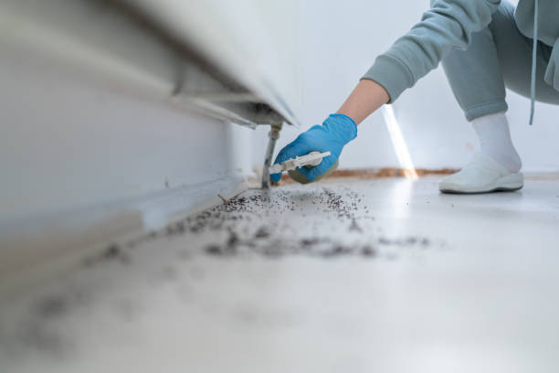  Roodhouse, IL Pest Control Pros